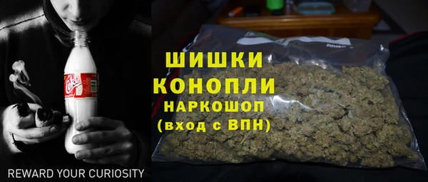 хмурый Нея