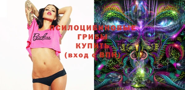 крисы Нефтегорск
