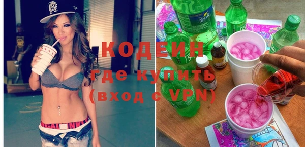хмурый Нея