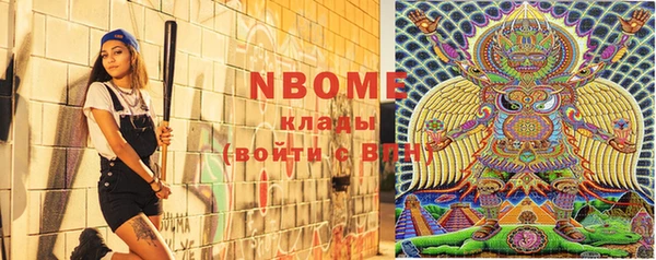 хмурый Нея